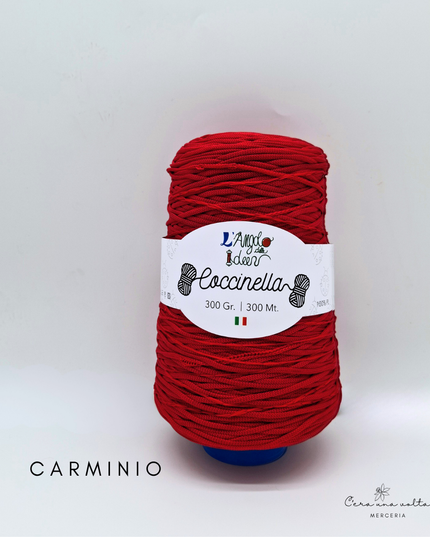 Coccinella – Fettuccia piatta | L’Angolo delle Idee