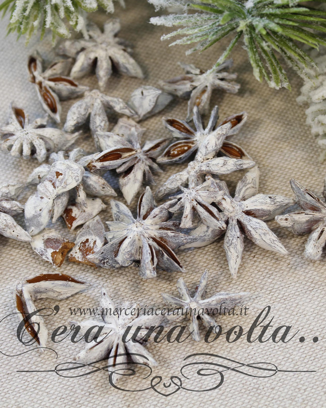 Anice stellato per decorazioni