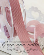 Rosa antico