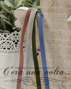 Rosa antico