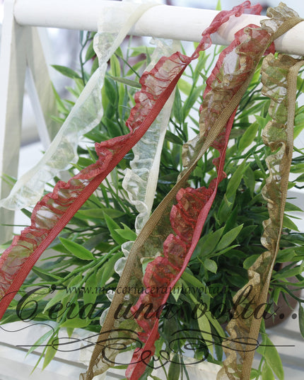 Pizzo in organza colorato