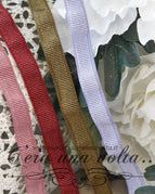 Rosa antico
