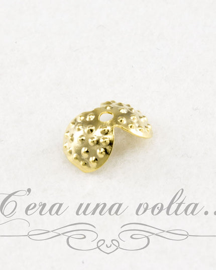 Coprinodo a conchiglia