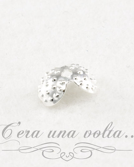 Coprinodo a conchiglia