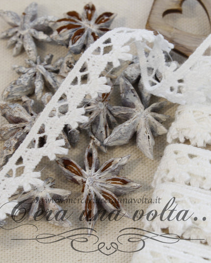 Merletto in cotone bianco