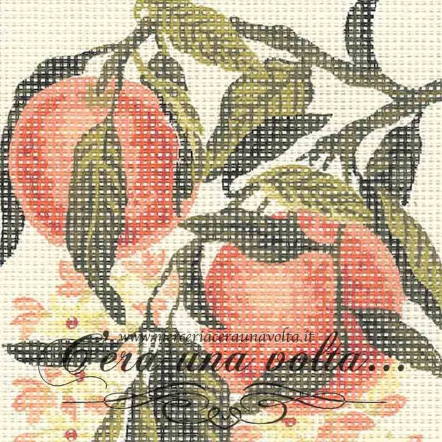 Kit mezzopunto Oranges