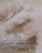 Articolo 6