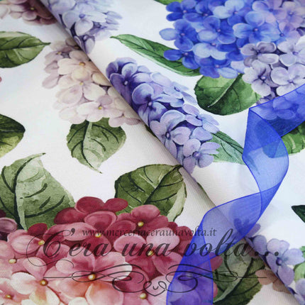 Collection image for: Antimacchia