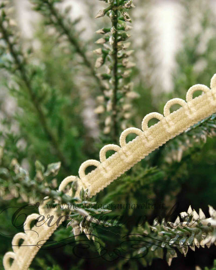 Passamaneria elasticizzata