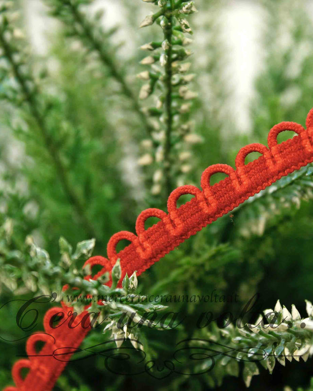 Passamaneria elasticizzata