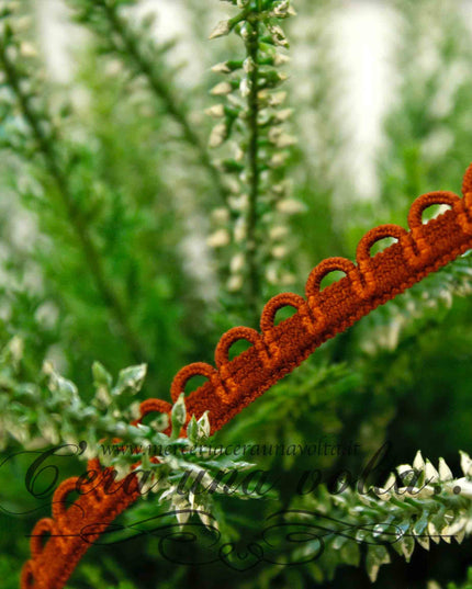 Elastico decorativo