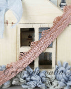 Rosa antico
