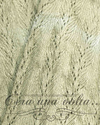 Salvia