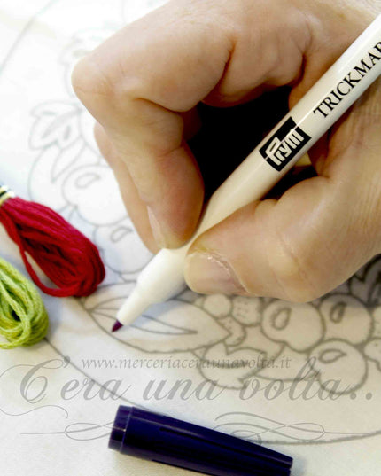 Pennarello evanescente