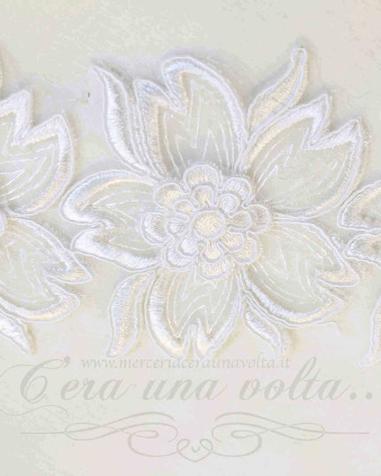 Pizzo Softy