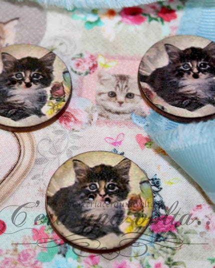 6 Bottoni Decorativi Micetti