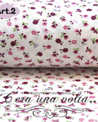 Articolo 2