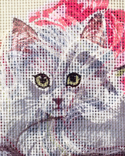 Kit mezzopunto Cat