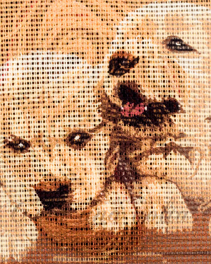 Kit mezzopunto Puppies