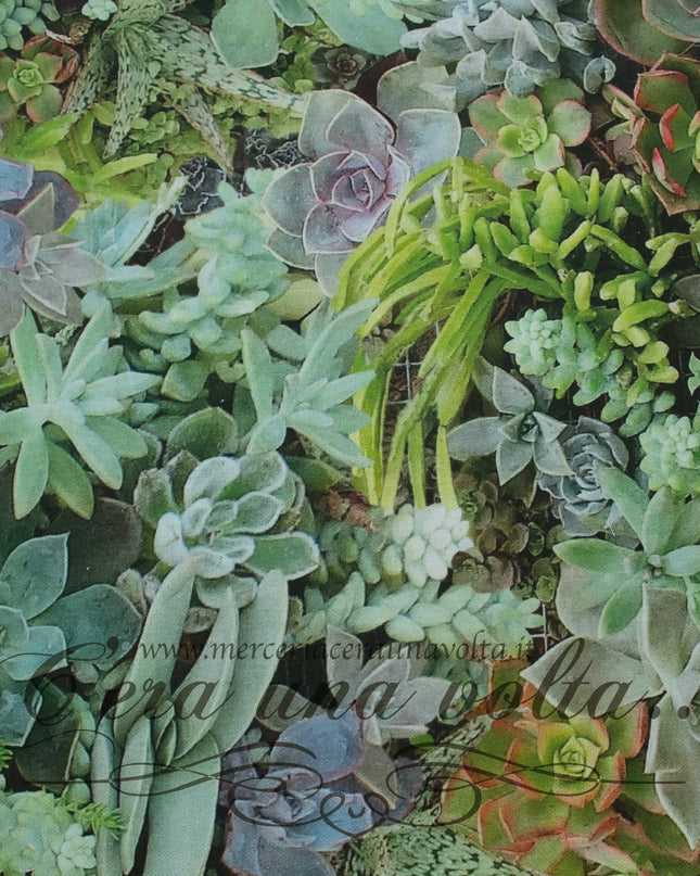cm 70 x 50 Scampolo Tessuto Succulent Garden