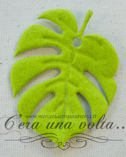 Tag  Foglie per hobbistica