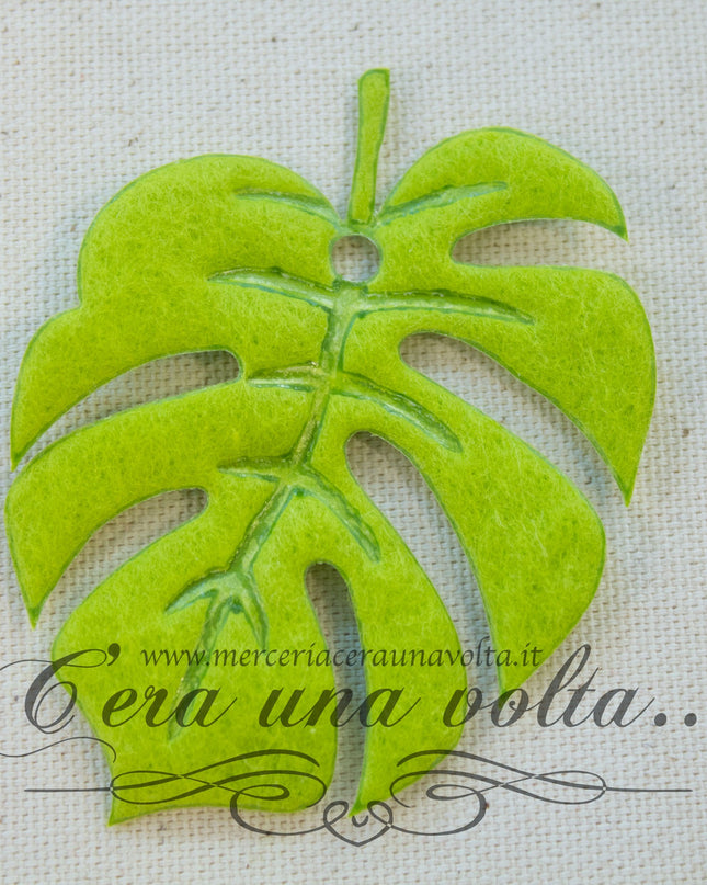 Tag  Foglie per hobbistica