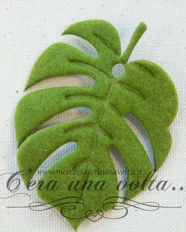 Tag  Foglie per hobbistica