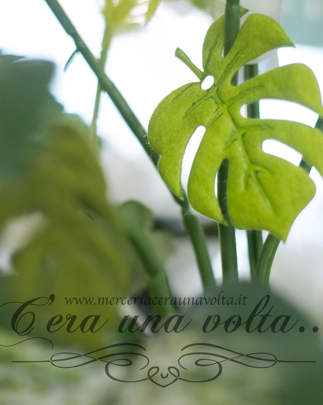 Tag  Foglie per hobbistica