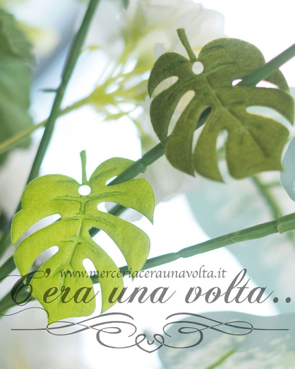 Tag  Foglie per hobbistica