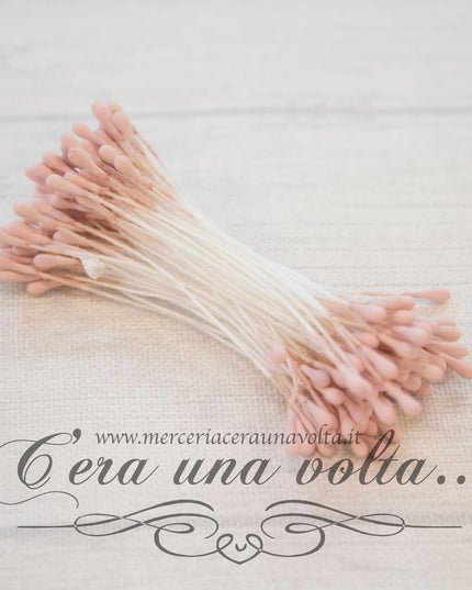 Pistilli per fiori doppi Rosa
