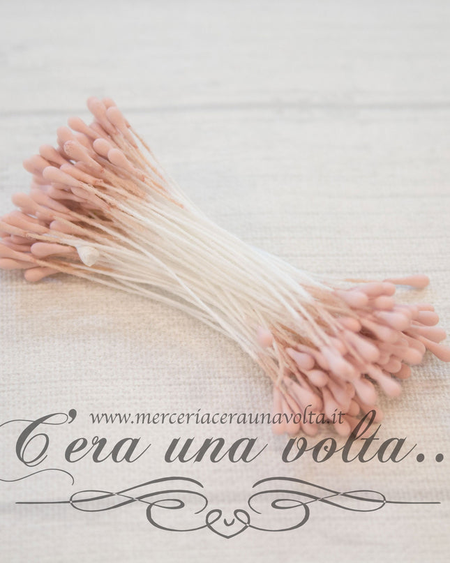 Pistilli per fiori doppi Rosa