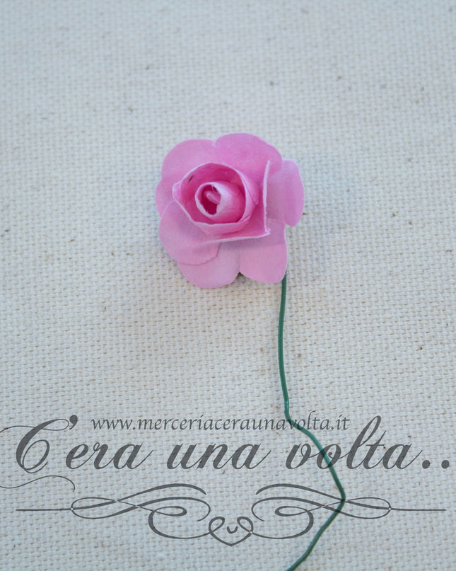 12 Rose Rosa per bomboniere