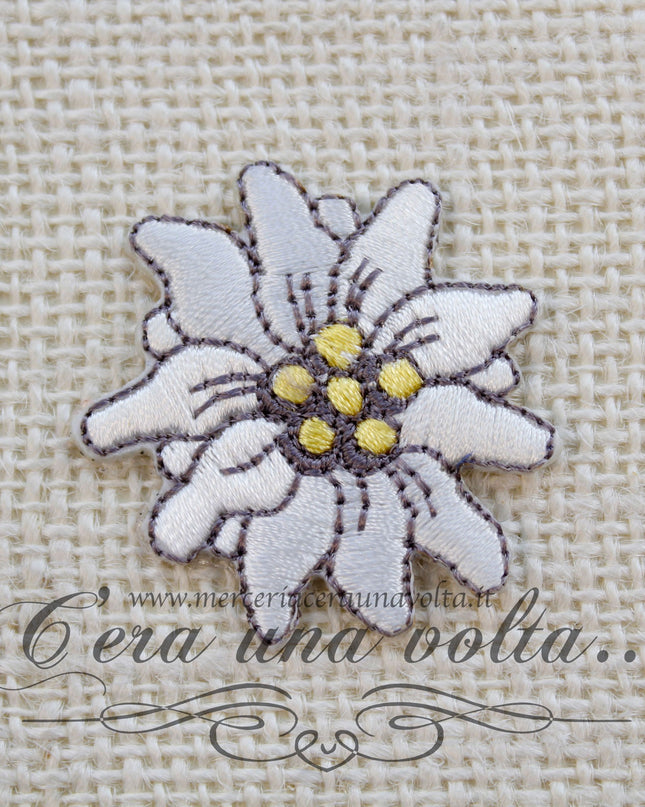 Etichetta termo adesiva Stella Alpina Piccola